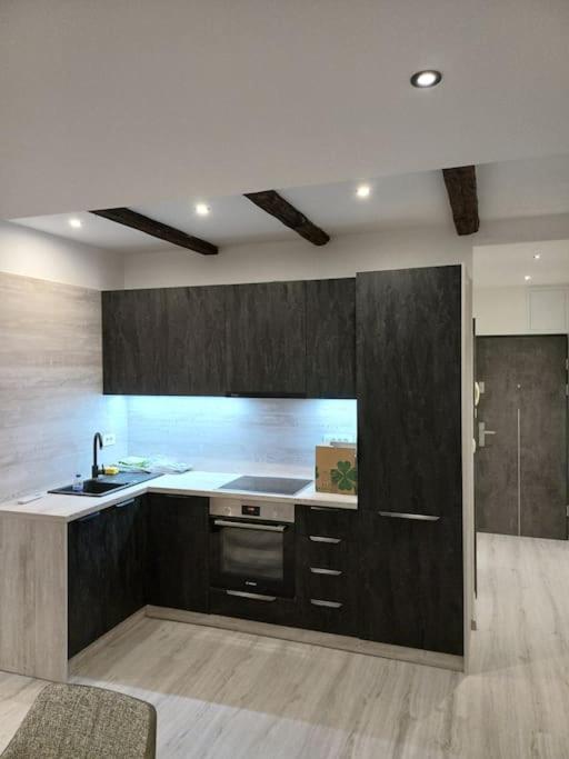 Apartman Ena Radiceva زغرب المظهر الخارجي الصورة