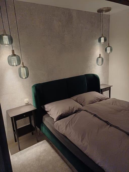 Apartman Ena Radiceva زغرب المظهر الخارجي الصورة