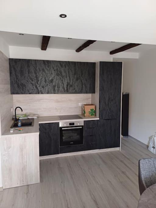 Apartman Ena Radiceva زغرب المظهر الخارجي الصورة
